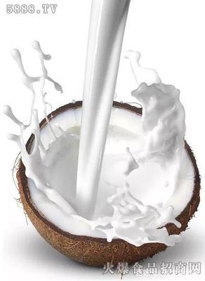 五花八門的椰子產品